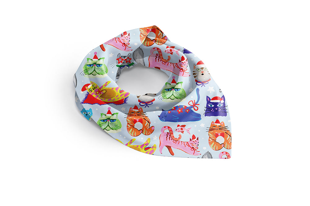 Eleanor Bowmer Cat 13in Cracker (24pcs) FSC Mix  - Pack 24
